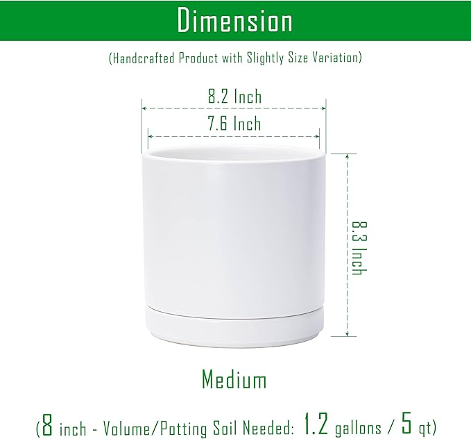 D'vine Dev 8 Inch Ceramic Planter Pot with Drainage Hole and Saucer, Indoor Cylinder Round Planter Pot, White, 94-O-D-1
