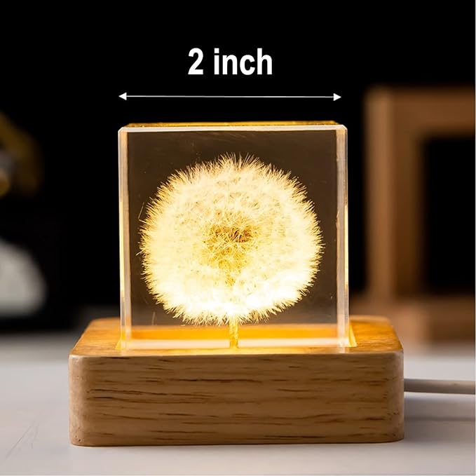 Flower Crystal Ball Night Light,2.4 inch Glass Ball Night Lamp with Woodern Base (Dandelion 1)