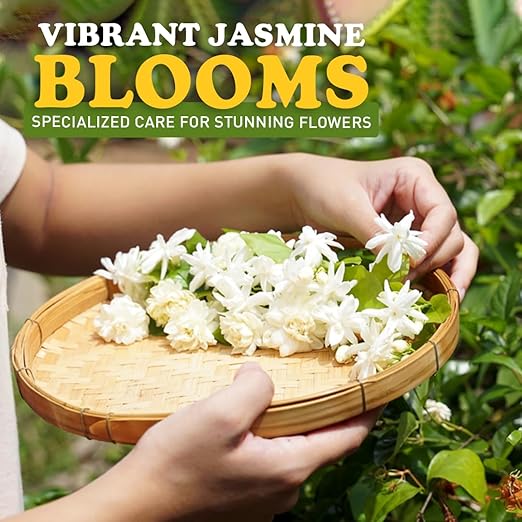 EZ-GRO Professional Liquid Jasmine Fertilizer - 8 oz Bottle | 3:1:2 Concentrated Nutrients for Indoor Plant Food | Houseplant Fertilizer for Jasmine Flowers| Promotes Vibrant Plants & Strong Roots