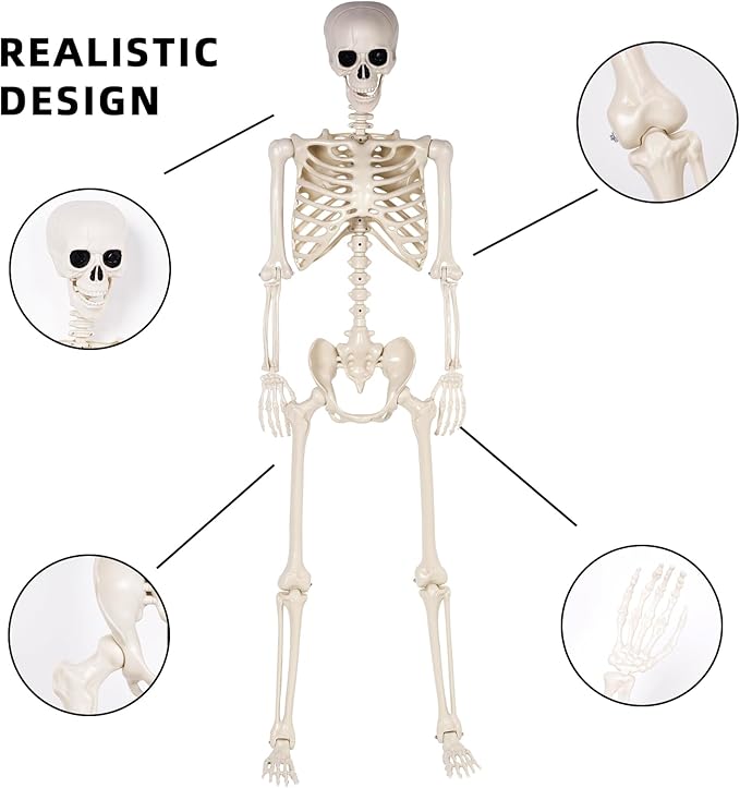 Halloween Skeletons Decorations - 5.4FT Life Size Posable Skeletons, Realistic Plastic Full Body Skeletons for Halloween Party Outdoor Haunted House Graveyard Decor