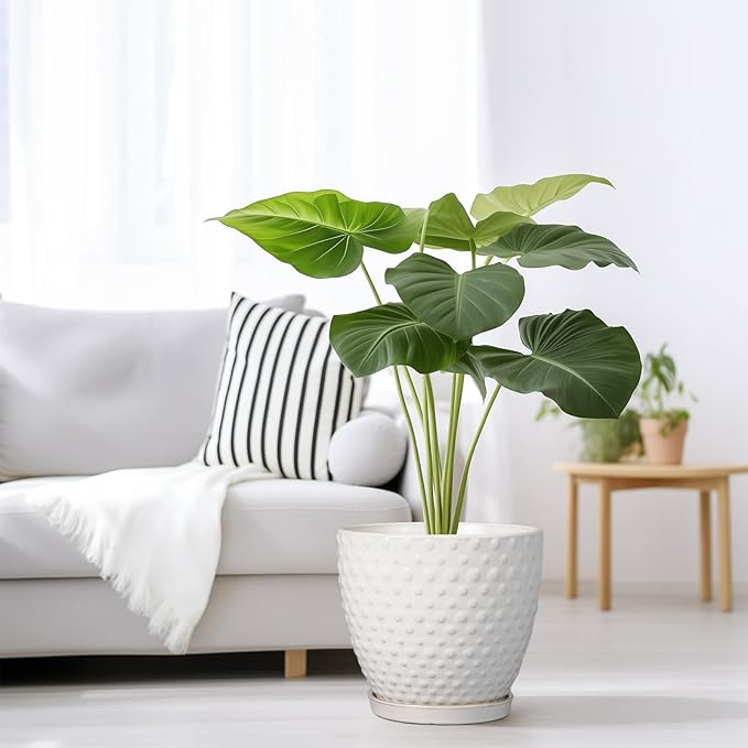 G EPGardening 8 Inch Plant Pot for Indoor Outdoor Plants Round Ceramic Planter Pot with Drainage Hole and Saucer Modern Large Flower Pot White