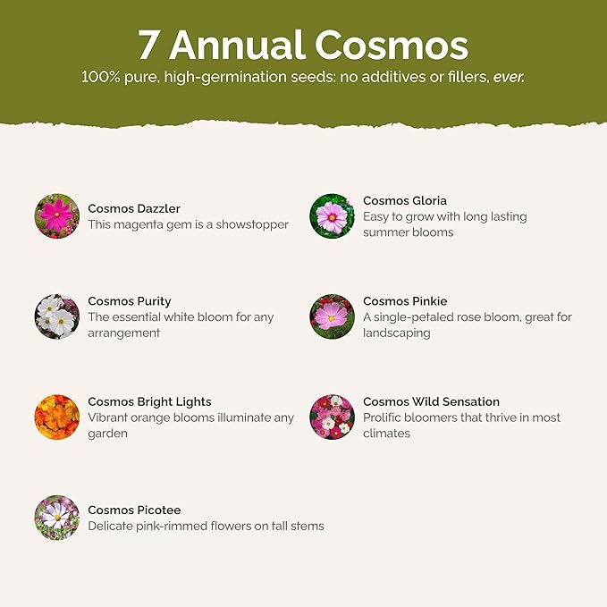 Eden Brothers Crazy for Cosmos Flower Mixed Seeds for Planting, 50 lb, 24,000,000+ Seeds with Cosmos Gloria, Pinkie, Purity, Attracts Pollinators, Plant in Spring or Fall, Zone 3, 4, 5, 6, 7, 8, 9, 10