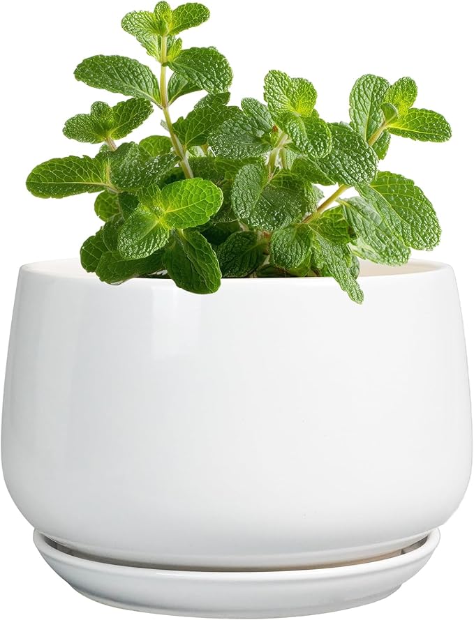 G EPGardening Ceramic Plants Pots - 4 inch Succulent Pots for Indoor Outdoor, Small Planter with Drainage Hole & Saucer, Round Planter, Modern Flower Pot, Office Decor, Plant Lovers Gifts, White