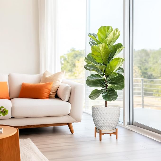 G EPGardening 10 Inch Plant Pot Ceramic Pots for Plants Indoor Outdoor Plant Pots with Drainage Hole and Saucer Round Large Flower Pot for Home Garden Office White