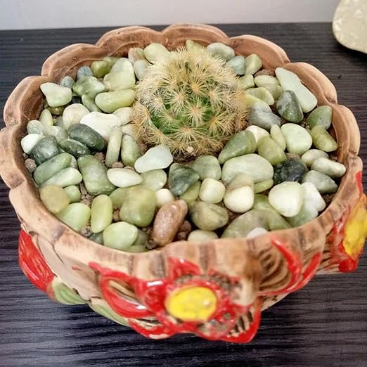 5LB Succulent Jade Pebbles, 3/8 Inch Natural Decorative Polished Stones, River Rocks for Vase, Flowerpot, Indoor and Garden Decoration