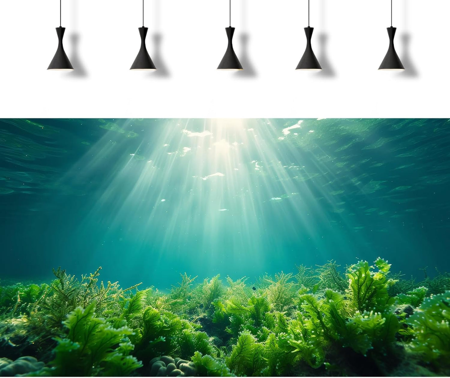 Deep Ocean Fish Tank Background Under The Sea Aquatic Plants Aquarium Background Underwater Corals Sunray Terrarium Backgrounds Tropical Fish Ocean World Aquarium Backgrounds Decorations 48x24in