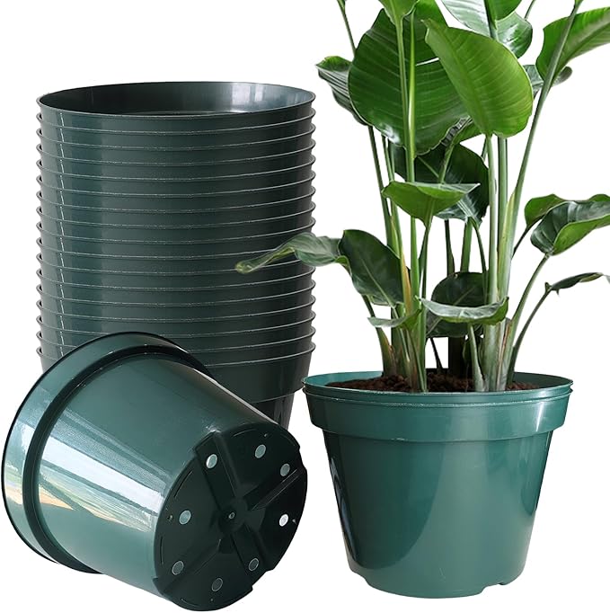 DAPERCI RooTrimmer 8 inches Nursery Pot Plant Grow Sturdy Flower pots in Bulk Price 20P
