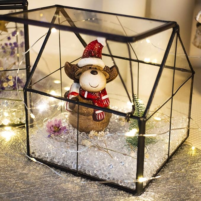 Ferrisland Glass Plant Terrarium Container Wardian Case Indoor Small Succulent Terrarium Planter w/Door for Tabletop Decor DIY - 5.0"x4.3"x4.3"