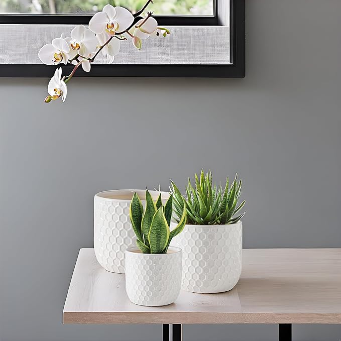 Docrin Plant Pots Indoor with Drainage: 6.4+5.3+4 Inch Ceramic Flower Pots for Plants - Set of 3 Modern Decorative Planters for House/Office/Gift - White Honeycomb