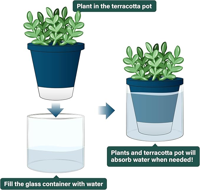 D'vine Dev 4 Inch Design Self Watering Planter for Indoor Plants, Blue Terracotta Pot with Cylinder Glass Cup, 37-X-A-4