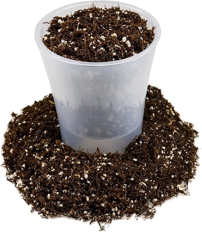 Fern + Perlite Soil Mix for Repotting and Planting Succulents and Cactuses - 4 Quart Bag