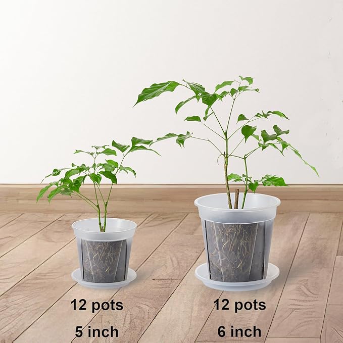 24 pcs 5/6 inch Clear Nursery pots with Trays,Thick Plastic Clear Plant pots with Drainage Holes and Saucers for Orchids,Succulents etc,Outdoor or Indoor use (5/6inch with 24 Trays)