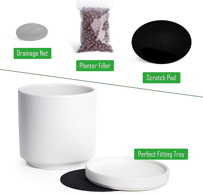 D'vine Dev Set of 4 Small Ceramic Plant Pots, 4.6 Inch Succulent Planter Pot for Plants with Drainage Hole and Saucer, White, 94-X-B-1