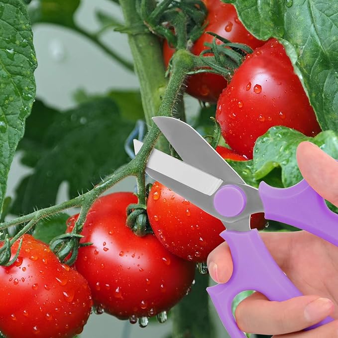 Flower Scissors, Strong Floral Shears, Premium Steel Garden Pruning Shears Floral Fruits Leaf Scissors Hand Pruner Snip Trimming Tool for Gardening Flower Arrangement, Purple