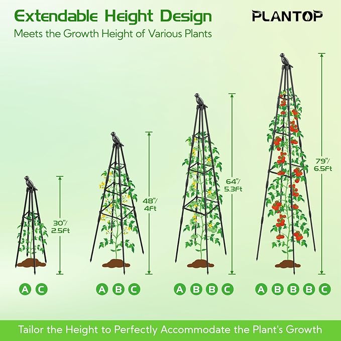 2 Pack Garden Trellis for Climbing Plants Outdoor, 79"/6.6ft Tall Rustproof Tomato Trellis, PE Coated Metal Plant Trellis Indoor, Tower Trellis for Potted Plants Flowers Vines Vegetables