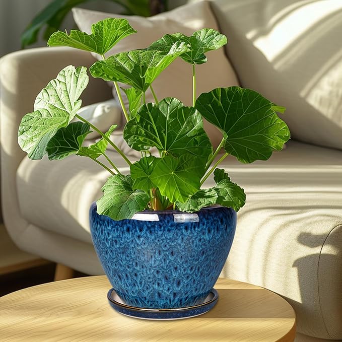 8 Inch Ceramic Plant Pot, Ceramic Planter Pot for Indoor Outdoor Plants, Round Flower Pot with Drainage Hole and Saucer, Blue