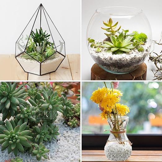 5lbs White Pebbles for Indoor Plants, 3/8inch Small Rocks for Succulent Cactus Planters, Natural Polished Pebbles, River Rocks for Plants, Vases, Garden