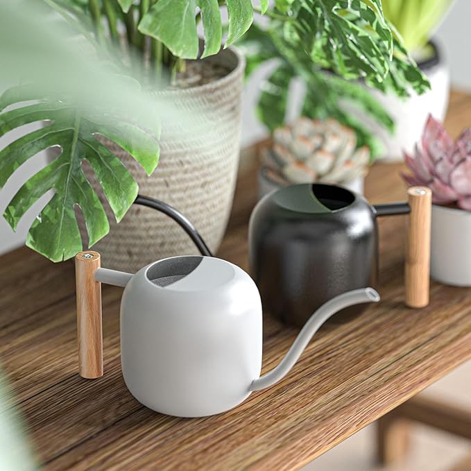 Green Moon Water Can Indoor Plant White 1.2L/41oz with Long Spout Small Water Can Metal Watering Can Pot for Indoor House Plant Bonsai Outdoor Garden Flowers Decorative