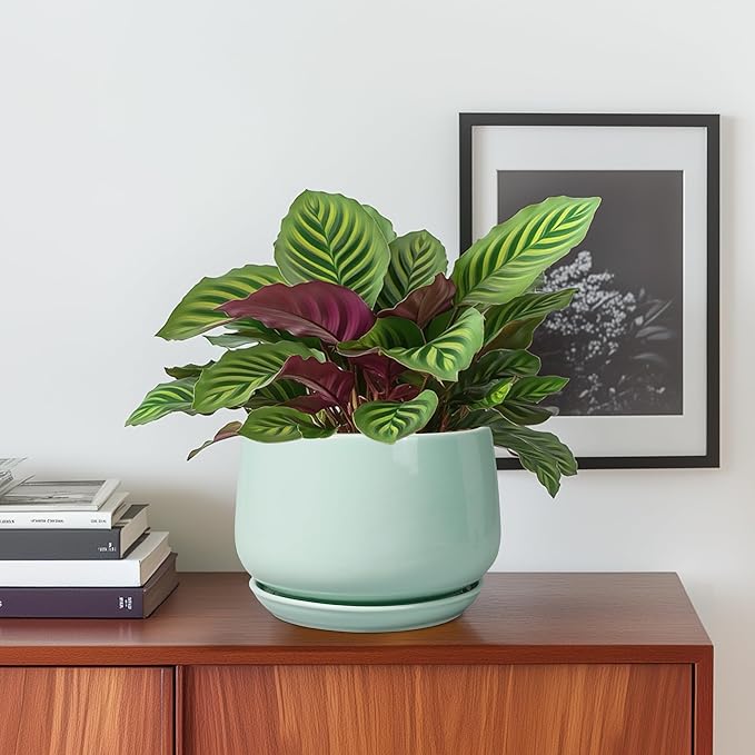 G EPGardening Ceramic Plant Pots - 6 Inch Pot for Plants, Ceramic Planter with Drainage and Saucer, Flower Indoor Outdoor Planter, Modern Bathroom Decor, Birthday Gifts, Green