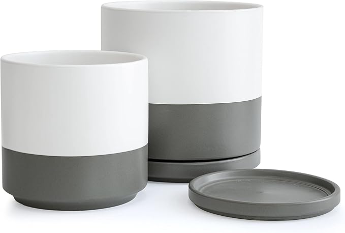 D'vine Dev 8 Inch & 10 Inch Ceramic Planter Pot for Plants with Drainage Hole and Saucer, Large Plant Pots Set, White/Speckled Grey, 94-G-L-6