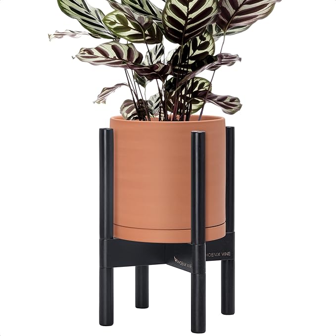 D'vine Dev Terracotta Planter with Ebony Stand - 8 Inch Modern Round Flower Pot with Wood Planter Holder, Terracotta, 55-B-M-5