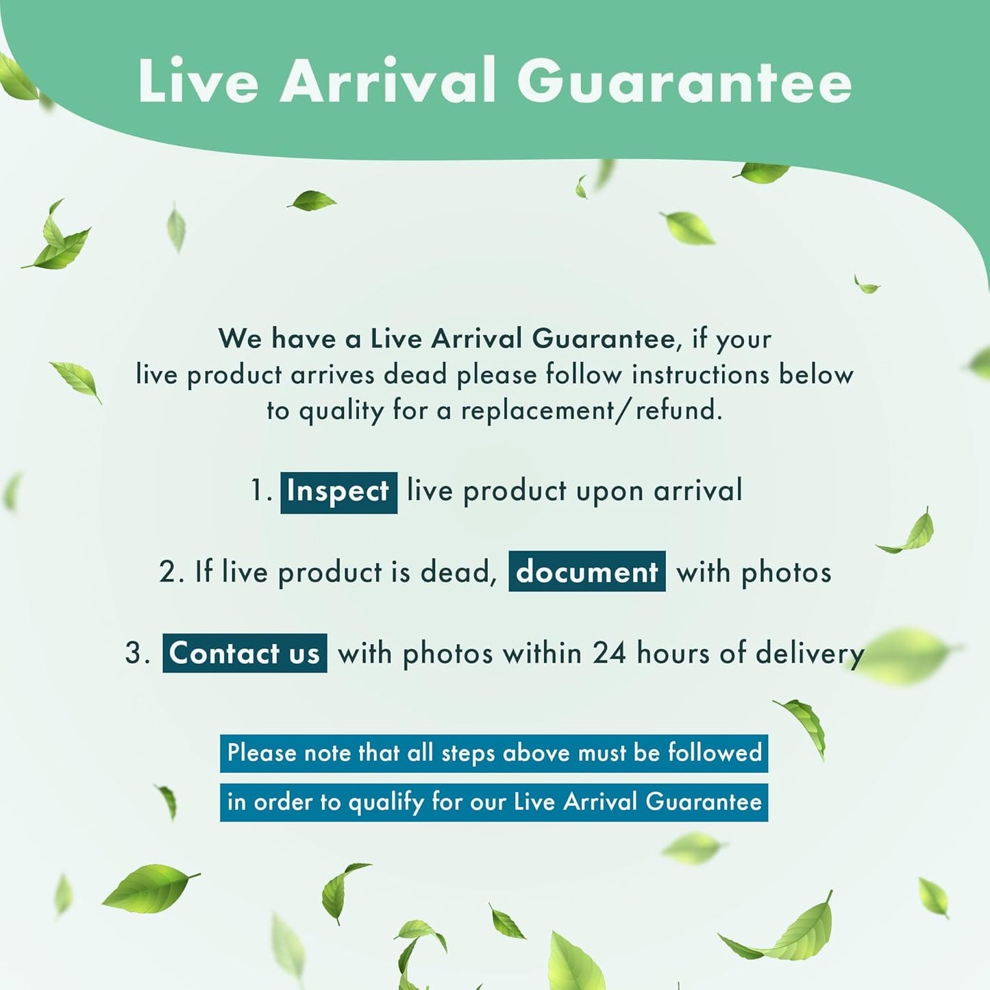 Anubias Live Aquarium Plants - Potted Freshwater Plant for Fish Tanks, Terrariums - Beginner Friendly Low Light (Nana Thick Leaf, 1 Pot)