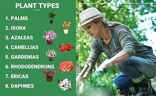 8-4-8 Professional Palm Tree Fertilizer Plant Food; for Indoor Potted Plants and Outdoor Landscape Palm Trees; Quick-Release Nitrogen Fertilizer and Continuous Feeding (1 Quart)