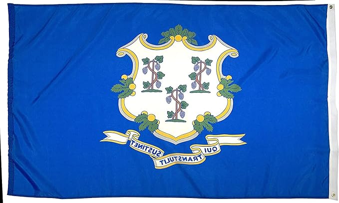 FlagSource Connecticut Nylon State Flag, Made in USA, 4x6'