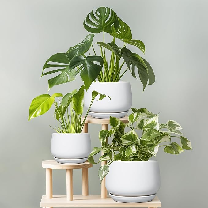 G EPGardening Ceramic Planter 9 Inch - Plant Pots with Drainage and Ceramic Saucer, Flower Pots for Indoor Plants, Modern Outdoor Planter, Living Room Decor, Gifts for Plant Lovers, White