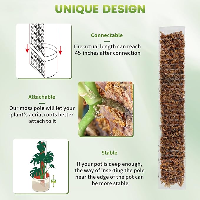 EOX 2 Pcs 24 Inch Plastic Moss Pole for Plants Monstera, Plant Poles for Climbing Plants, Plant Support for Indoor Plants Work with Sphagnum Moss, 45 Inch Moss Pole Set of 2, Garden Ties