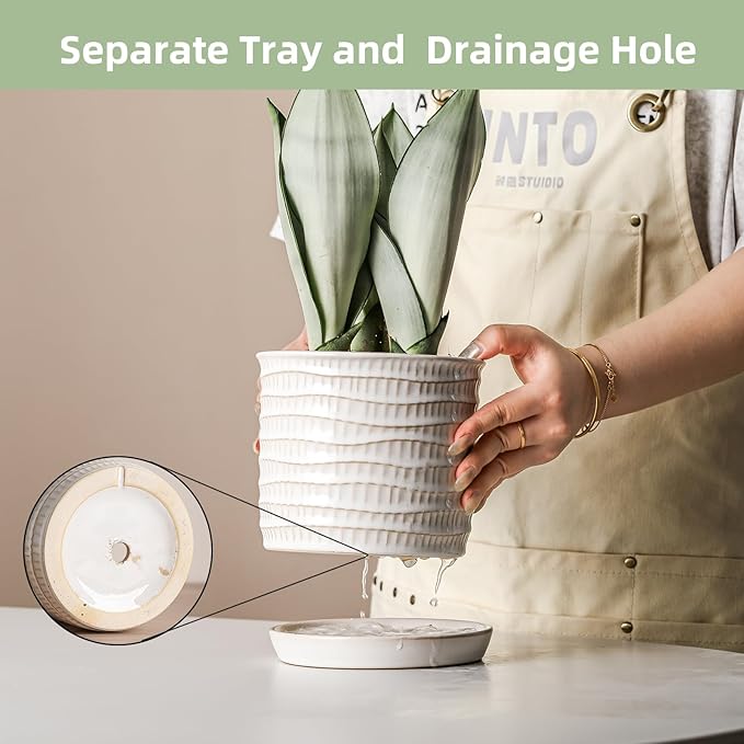 5.8 Inch Plant Pot: Ceramic Planter with Drainage Hole & Saucer - Cream White Flowerpot for Indoor & Outdoor Plants - with Separate Tray for Home & Office - Wave Embossed Design