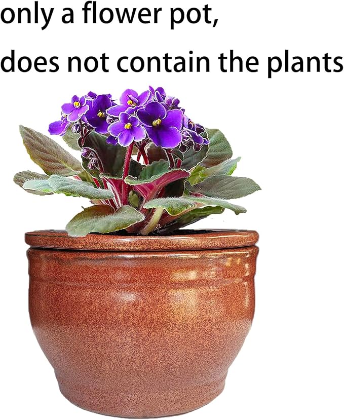 African Violet Pots Self Watering Round Ceramic Violet Pot (Copper, 6 inch)