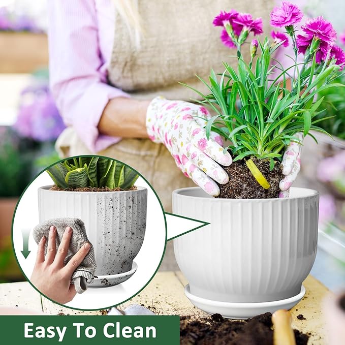 8 Inch Plant Pot,Ceramic Planter with Drainage and Saucer,Ceramic Pots for Plants,Indoor Plant pots,Ceramic Flower pots(Pure White, Plants NOT Included)