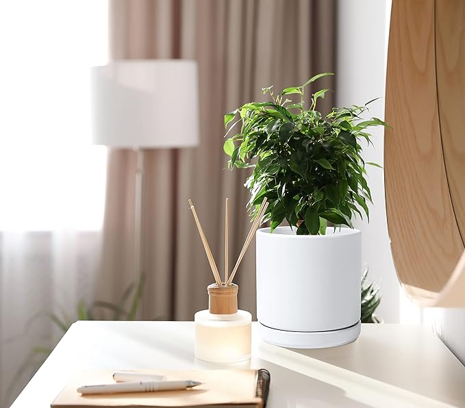 D'vine Dev 6 Inch & 8 Inch Ceramic Planter Pots for Plants with Drainage Hole and Saucer, Medium Plant Pots Set, White, 94-G-M-1