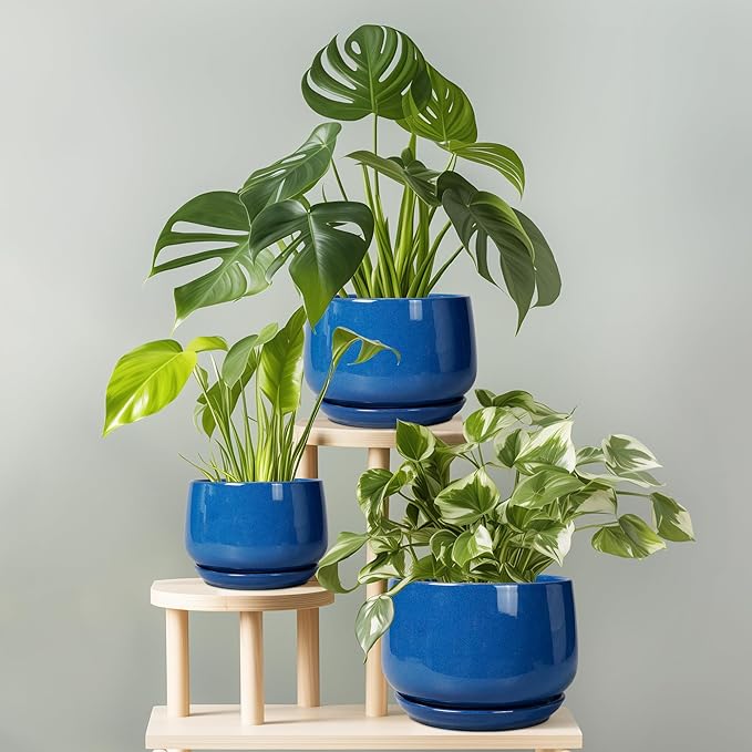 G EPGardening Ceramic Pots for Plants, 9 Inch Modern Round Planter with Drainage and Tray Indoor Outdoor for Flower, Patio Decor, Housewarming Gifts, Blue