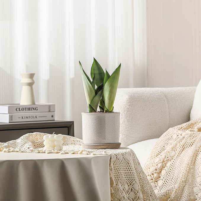 5.8 Inch Plant Pot: Ceramic Planter with Drainage Hole & Saucer - Cylinder Round Flowerpot for Indoor & Outdoor Plants - with Separate Tray for Home & Office - Retro Style, Grey