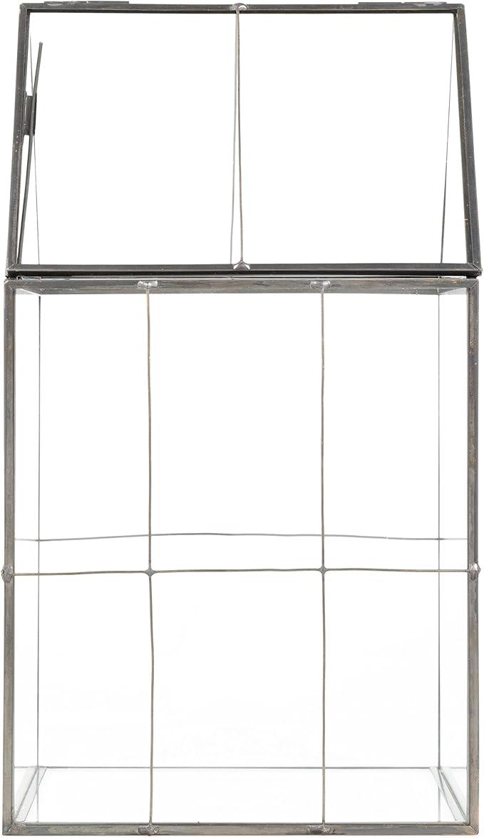 D'Eco Glass Geometric Plant Terrarium (6"x5"x11") - Indoor Tabletop Black Hinged Roof Planter Terrarium for Succulents, Air Plants, Moss - Home, Garden, Wedding & Office Decor- Gift for Plant Lovers
