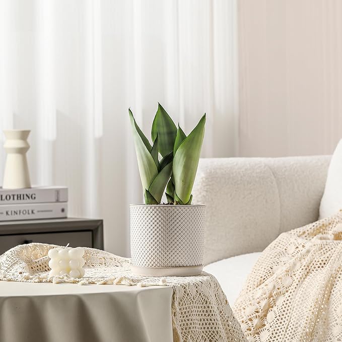 5.8 Inch Plant Pots: Ceramic Planter with Drainage Hole & Saucer - Flowerpot for Indoor & Outdoor Plants - Beaded Embossed Design White - with Separate Tray