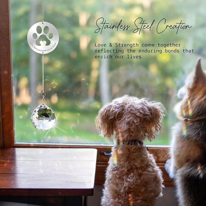 Dog Memorial Gifts, Unique Loss of Pet Sympathy Idea, Clear Crystal Ball Rainbow Suncatcher with Paw Print for Cat or Dog Remembrance and Bereavement