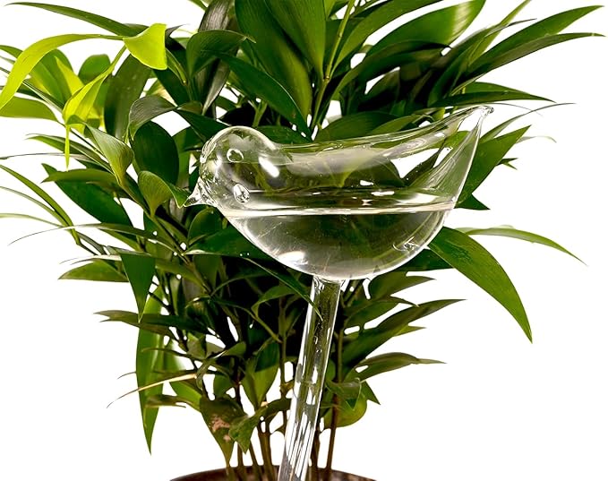 Glass Plant Watering Globes, Self Watering Globes Bird Shape, Self Watering Planter Insert, Plant Watering Devices, Automatic Plant Waterer Indoor, Watering Bulbs, 2 Pack