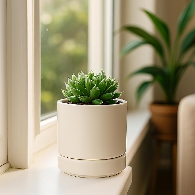 D'vine Dev 4.7 Inch Ceramic Planter Pot with Drainage Hole and Saucer, Indoor Cylinder Round Planter Pot, Oatmeal, 94-O-B-8