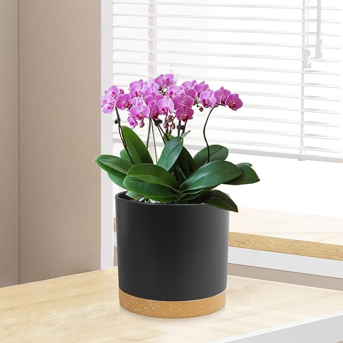 5 Pack Cylindrical Flower Pots with 7/6.5/6/5/4 inch, Modern Small Plastic Plant Pots with Drainage Holes & Saucers, Round Planter Pots for Outdoor, Indoor & Office Decor (Black Brown)