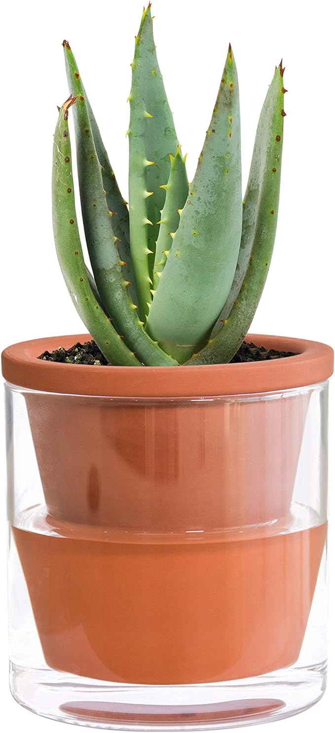 D'vine Dev 4 Inch Design Self Watering Pot for Indoor Plants, Terracotta Planter with Cylinder Glass Cup, Set of 3, 37-X-A-3
