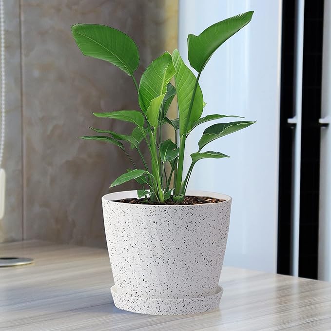 6 Inch Plant Pots Bulk, 6 Pack Plastic Planters with Drainage Holes and Saucers for Indoor Outdoor House Plants and Flowers,White Spots