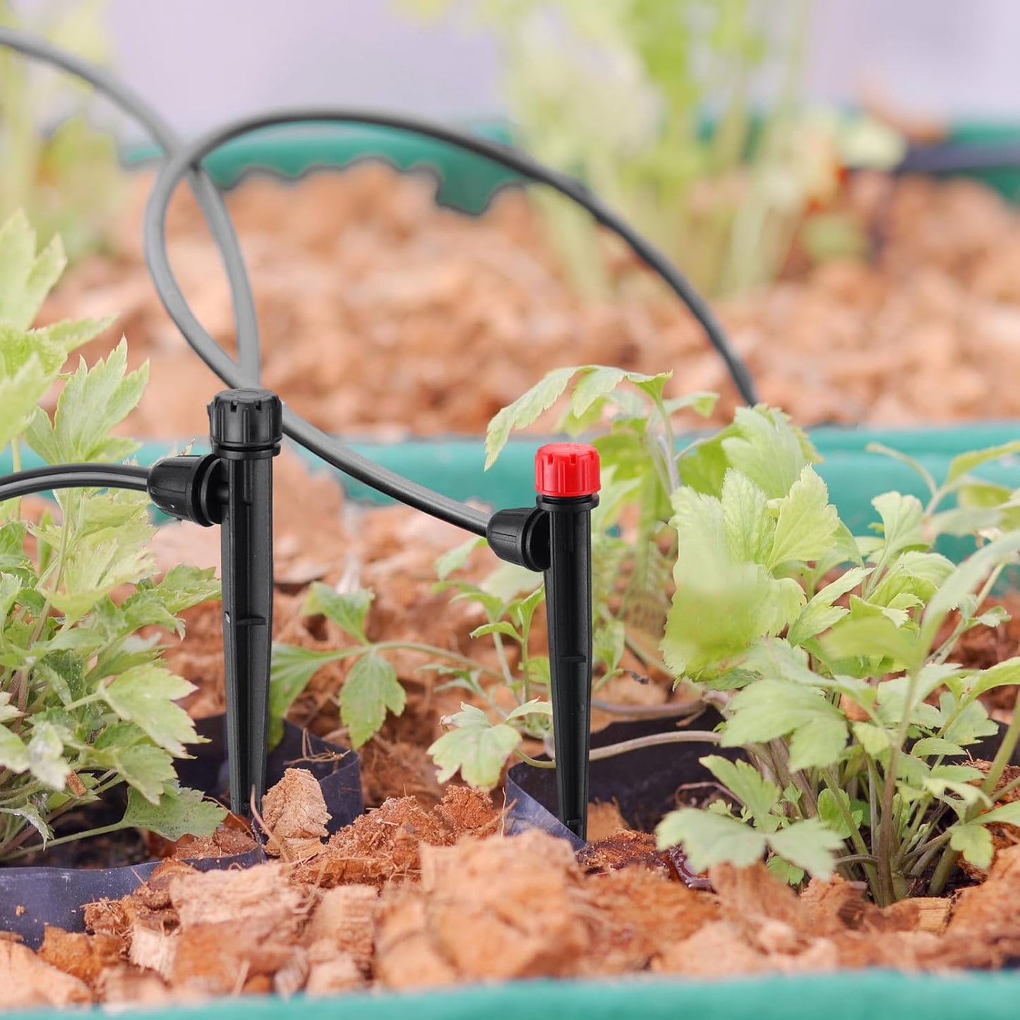 80 Pcs Drip Irrigation Emitters with Adjustable 360 Degree Water Flow Drippers for 1/4 Tubing Sprayer on 5.5 Arrow Stake for Garden System(Red, Black,Eight Hole Nozzle)