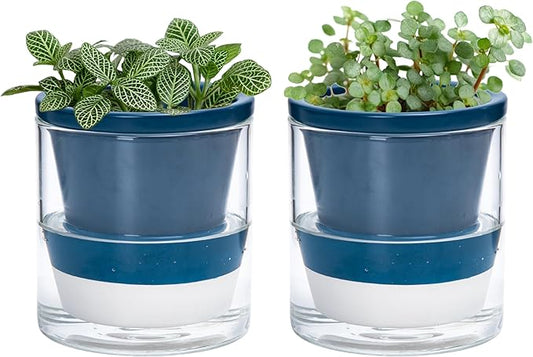 D'vine Dev 4 Inch Design Self Watering Planter for Indoor Plants, Blue Terracotta Pot with Cylinder Glass Cup, Set of 2, 37-Y-A-4