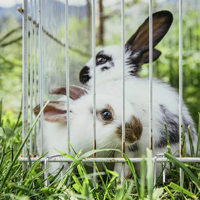 25pcs 6 Inch Garden Landscape Staples 11 Gauge Galvanized Lawn Stakes, Heavy Duty Sod Pins for Fences, Lawns, Weed Barriers, and Landscape Fabrics, Netting, Irrigation Hose, Floor Mats