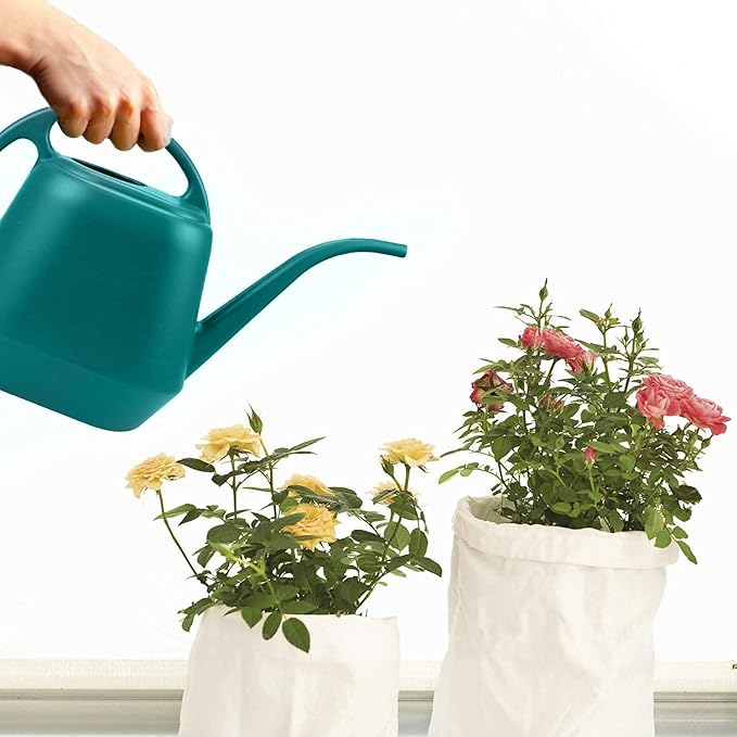 Fasmov Plastic Watering Can, 1-Gallon, Green