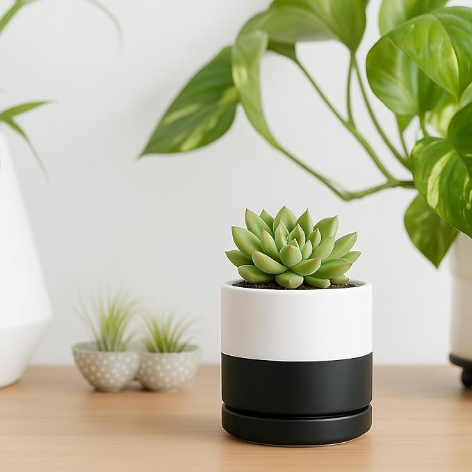 D'vine Dev 3.5 Inch Ceramic Planter Pot with Drainage Hole and Saucer, Indoor Cylinder Round Planter Pot, Layered Monochrome Black & White, 94-O-A-L