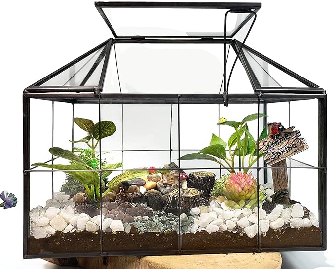 Ferrisland Glass Terrarium Greenhouse House Shape Display Box Planter for Succulents Plant Terrarium Container Mordern Tabletop Decor Gardern DIY Kit